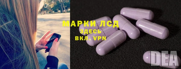 ГАЛЛЮЦИНОГЕННЫЕ ГРИБЫ Заводоуковск