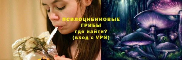 ГАЛЛЮЦИНОГЕННЫЕ ГРИБЫ Заводоуковск