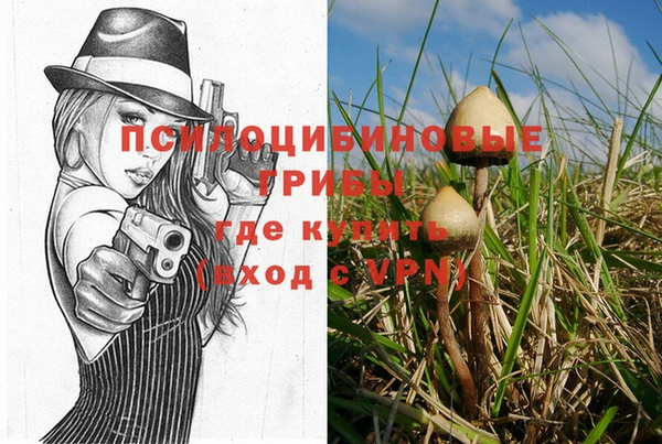 ГАЛЛЮЦИНОГЕННЫЕ ГРИБЫ Заводоуковск