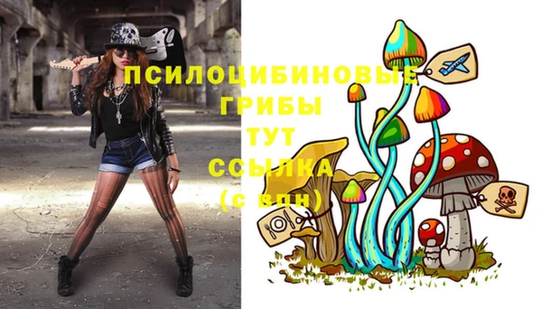 ГАЛЛЮЦИНОГЕННЫЕ ГРИБЫ Заводоуковск