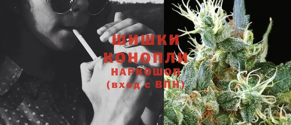 ГАЛЛЮЦИНОГЕННЫЕ ГРИБЫ Заводоуковск