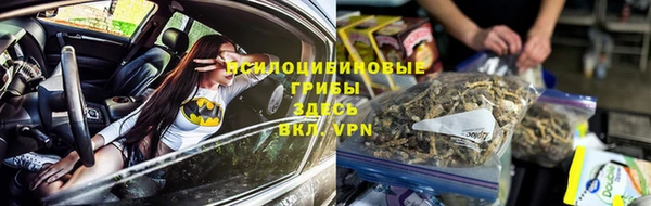 ГАЛЛЮЦИНОГЕННЫЕ ГРИБЫ Заводоуковск