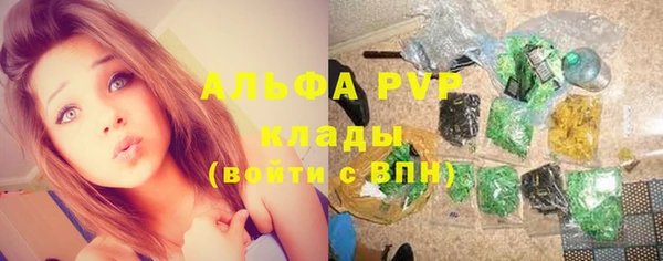 СК Заволжск